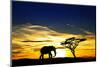 A Lone Elephant Africa-kesipun-Mounted Premium Photographic Print