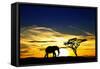 A Lone Elephant Africa-kesipun-Framed Stretched Canvas