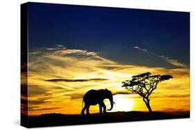 A Lone Elephant Africa-kesipun-Stretched Canvas