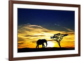 A Lone Elephant Africa-kesipun-Framed Photographic Print