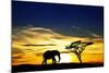A Lone Elephant Africa-kesipun-Mounted Photographic Print