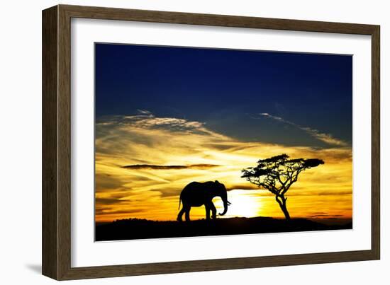 A Lone Elephant Africa-kesipun-Framed Photographic Print