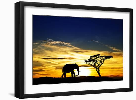 A Lone Elephant Africa-kesipun-Framed Photographic Print