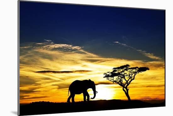 A Lone Elephant Africa-kesipun-Mounted Photographic Print