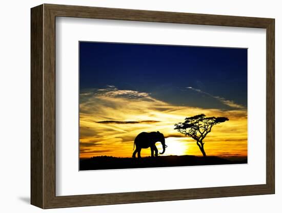 A Lone Elephant Africa-kesipun-Framed Photographic Print