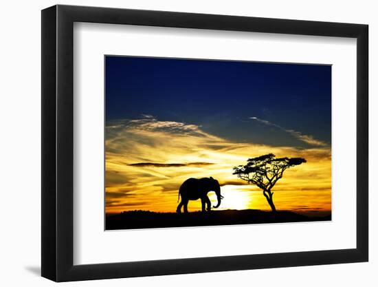 A Lone Elephant Africa-kesipun-Framed Photographic Print