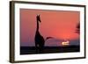 A Lone Giraffe in Silhouette Watches the Sun Set on the Horizon. Deception Valley, Botswana-Karine Aigner-Framed Photographic Print