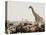 A Lone Giraffe Stands Tall at a Waterhole, Etosha National Park, Namibia, Africa-Wendy Kaveney-Stretched Canvas