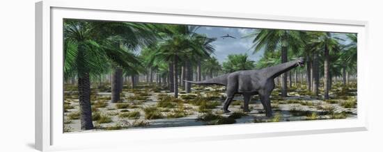 A Lone Herbivorous Camarasaurus Dinosaur-null-Framed Premium Giclee Print