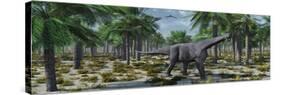 A Lone Herbivorous Camarasaurus Dinosaur-null-Stretched Canvas