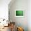 A Lone Kayaker Travels Down the Chicago River after It was Painted Green-null-Framed Photographic Print displayed on a wall