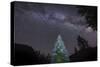 A Lone Lit Pine Tree Glows under the Arch of the Milky Way-null-Stretched Canvas