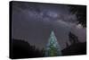 A Lone Lit Pine Tree Glows under the Arch of the Milky Way-null-Stretched Canvas