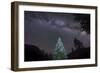A Lone Lit Pine Tree Glows under the Arch of the Milky Way-null-Framed Photographic Print