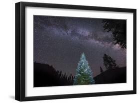 A Lone Lit Pine Tree Glows under the Arch of the Milky Way-null-Framed Photographic Print