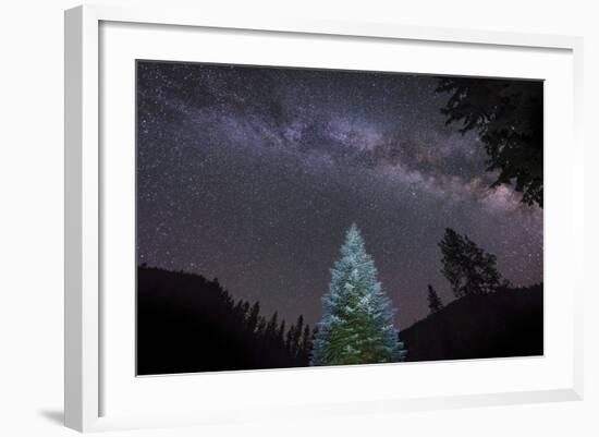 A Lone Lit Pine Tree Glows under the Arch of the Milky Way-null-Framed Photographic Print