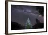 A Lone Lit Pine Tree Glows under the Arch of the Milky Way-null-Framed Photographic Print