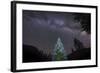 A Lone Lit Pine Tree Glows under the Arch of the Milky Way-null-Framed Photographic Print