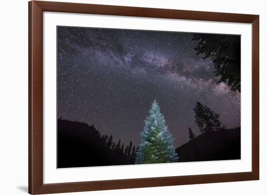 A Lone Lit Pine Tree Glows under the Arch of the Milky Way-null-Framed Photographic Print