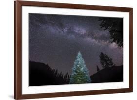 A Lone Lit Pine Tree Glows under the Arch of the Milky Way-null-Framed Photographic Print