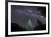 A Lone Lit Pine Tree Glows under the Arch of the Milky Way-null-Framed Photographic Print