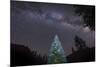 A Lone Lit Pine Tree Glows under the Arch of the Milky Way-null-Mounted Photographic Print