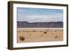 A Lone Llama Stands in a Desert Near the Salar De Uyuni-Alex Saberi-Framed Photographic Print