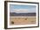 A Lone Llama Stands in a Desert Near the Salar De Uyuni-Alex Saberi-Framed Photographic Print