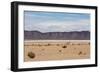 A Lone Llama Stands in a Desert Near the Salar De Uyuni-Alex Saberi-Framed Photographic Print