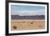 A Lone Llama Stands in a Desert Near the Salar De Uyuni-Alex Saberi-Framed Photographic Print