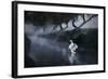 A Lone Mute Swan Stretches its Wings in Richmond Park-Alex Saberi-Framed Photographic Print