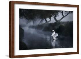 A Lone Mute Swan Stretches its Wings in Richmond Park-Alex Saberi-Framed Photographic Print