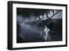 A Lone Mute Swan Stretches its Wings in Richmond Park-Alex Saberi-Framed Photographic Print