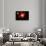 A Lone Planet Orbiting a Cluster of Red Giant Stars-null-Framed Stretched Canvas displayed on a wall
