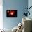 A Lone Planet Orbiting a Cluster of Red Giant Stars-null-Mounted Art Print displayed on a wall