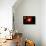 A Lone Planet Orbiting a Cluster of Red Giant Stars-null-Premium Giclee Print displayed on a wall