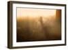 A Lone Red Deer Doe, Cervus Elaphus, Stands in the Autumn Mist in Richmond Park-Alex Saberi-Framed Photographic Print