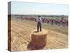 A Lone Spectator Watches the Pack Ride by from the Top of a Bale of Hay-null-Stretched Canvas