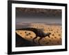 A Lone T. Rex Looks Down on a Large Herd of Triceratops-Stocktrek Images-Framed Photographic Print