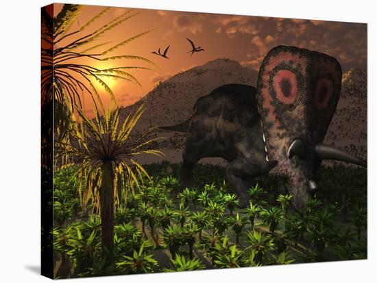 A Lone Torosaurus Dinosaur Feeding on Plants-Stocktrek Images-Stretched Canvas