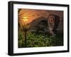 A Lone Torosaurus Dinosaur Feeding on Plants-Stocktrek Images-Framed Photographic Print