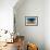 A lone tree in a field, Western Cove Road, Kangaroo Island, South Australia-Mark A Johnson-Framed Photographic Print displayed on a wall