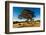 A lone tree in a field, Western Cove Road, Kangaroo Island, South Australia-Mark A Johnson-Framed Photographic Print