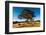 A lone tree in a field, Western Cove Road, Kangaroo Island, South Australia-Mark A Johnson-Framed Photographic Print