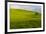 A lone tree on lush pasture land, Waimea, Big Island, Hawaii-Mark A Johnson-Framed Photographic Print