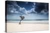 A Lone Tree on the Beach in Jericoacoara, Brazil-Alex Saberi-Stretched Canvas