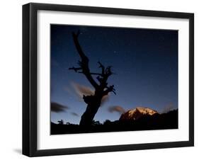 A Lone Tree Silhouetted at Night and the Torres Del Paine Mountains-Alex Saberi-Framed Photographic Print