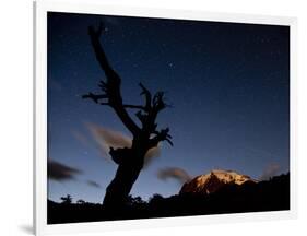 A Lone Tree Silhouetted at Night and the Torres Del Paine Mountains-Alex Saberi-Framed Photographic Print