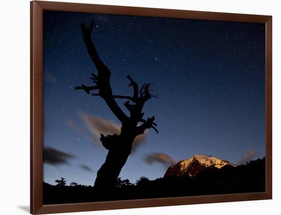 A Lone Tree Silhouetted at Night and the Torres Del Paine Mountains-Alex Saberi-Framed Photographic Print