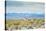 A Lone Vicuna Near Salar De Uyuni-Alex Saberi-Stretched Canvas